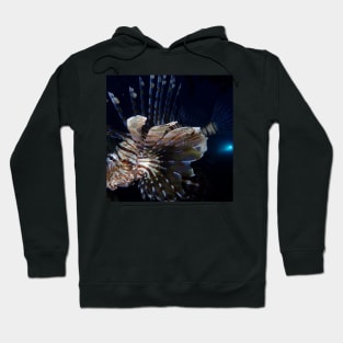 fish Hoodie